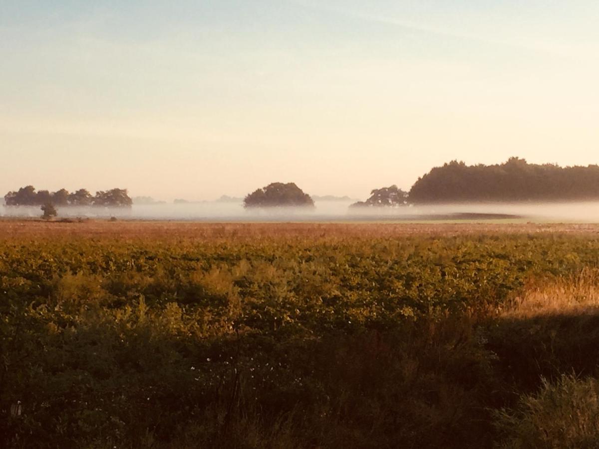 Bed and Breakfast De Distelweide Holsloot Екстер'єр фото
