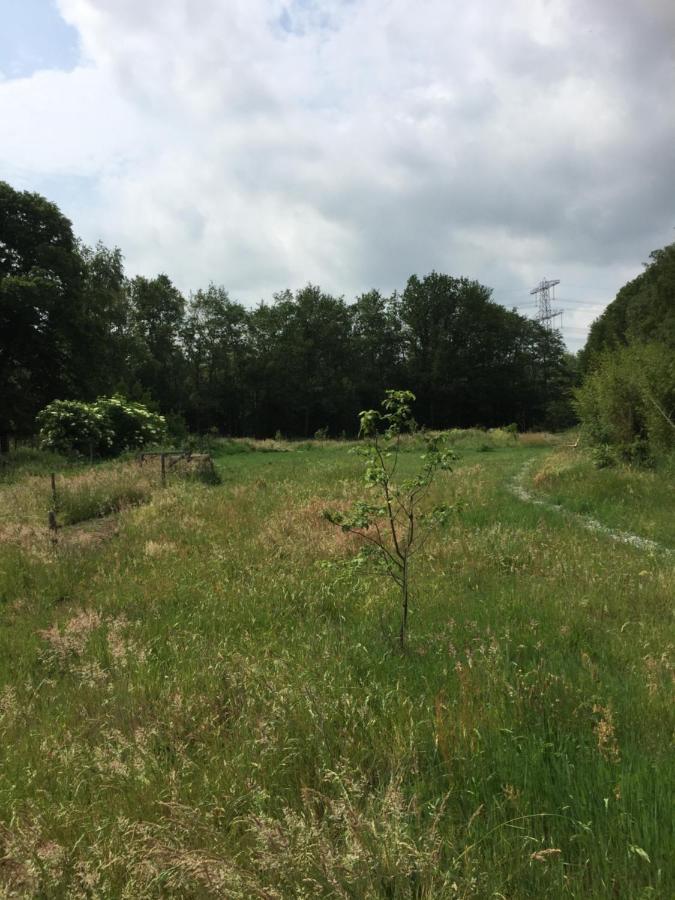 Bed and Breakfast De Distelweide Holsloot Екстер'єр фото
