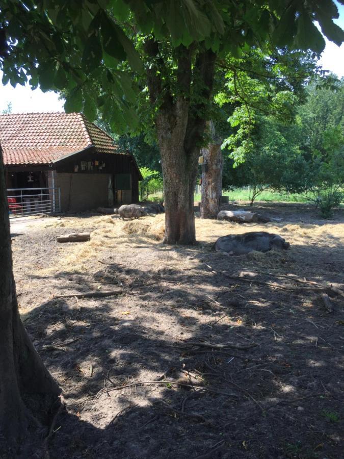 Bed and Breakfast De Distelweide Holsloot Екстер'єр фото