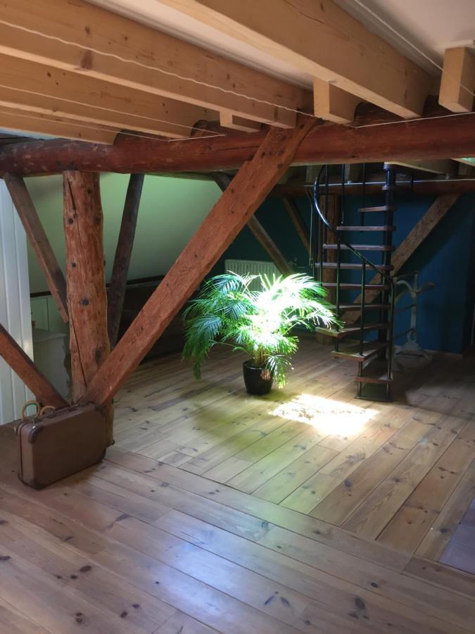 Bed and Breakfast De Distelweide Holsloot Екстер'єр фото